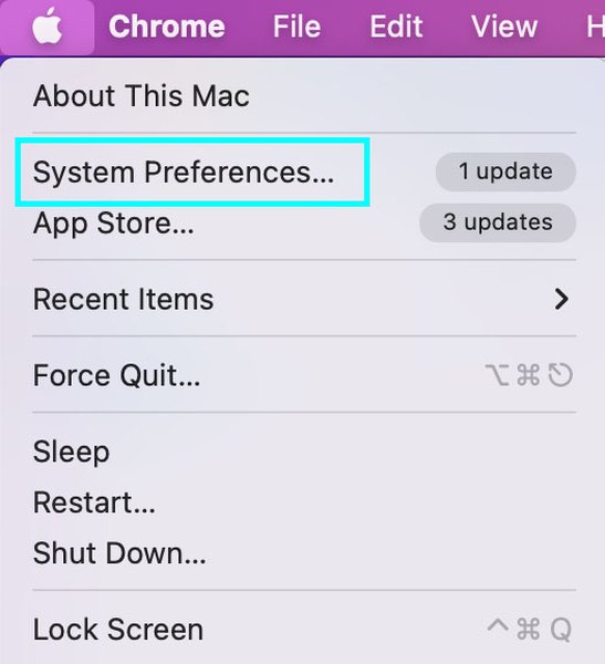 How to find system preferences on a Mac computer.