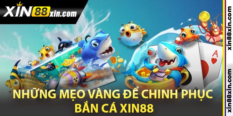 Bắn Cá Xin88 - Kỹ Năng Săn Cá Nhận Giải Thưởng Siêu Phẩm 3 Những mẹo vàng để chinh phục bắn cá Xin88